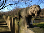 Tijger
              <br/>
              Alexander Mooi, 2014-03-06